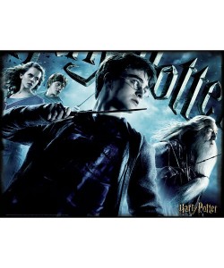 PUZZLE 3D LENTICULAR HARRY POTTER HARRY POTTER 500 PIEZAS
