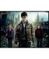 PUZZLE 3D LENTICULAR HARRY POTTER HARRY HERMIONE Y RON 500 PIEZAS