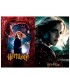 PUZZLE PARA RASCAR HARRY POTTER HERMIONE 150 PIEZAS