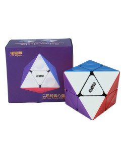 DIANSHENG FTO MAGNETICO 2X2