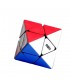 DIANSHENG FTO MAGNETICO 2X2